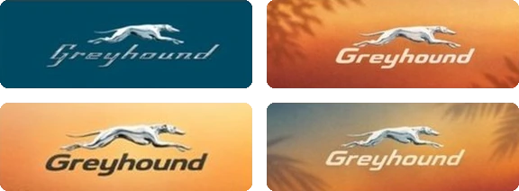 Logo try 1: four tiles with the chrome greyhound and italic Greyhound wordmark, on dark teal and on orange sunset backgrounds with leaf shadows.