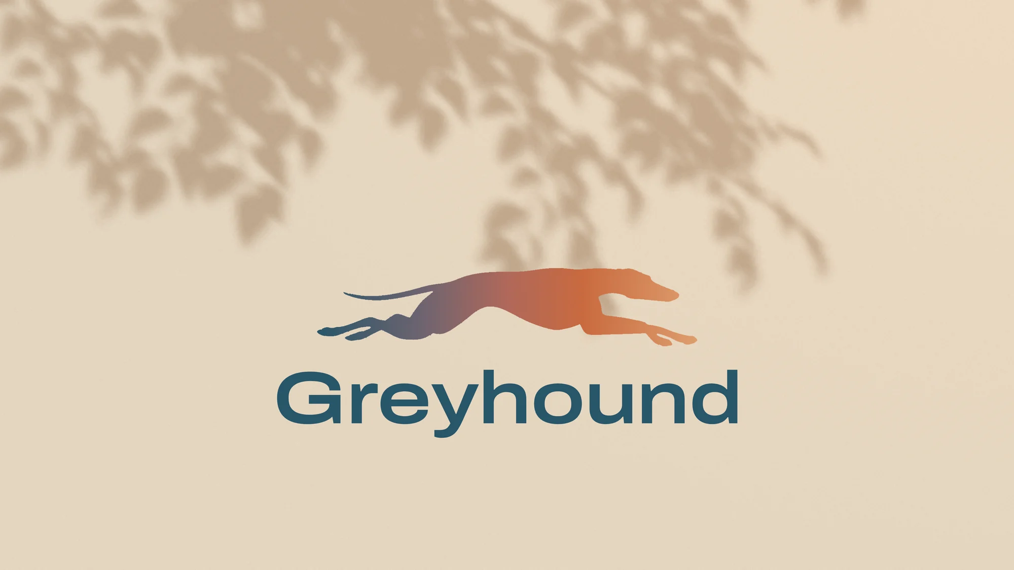 Before: leaf shadows falling across a cream background, with the gradient greyhound and blue Greyhound wordmark.